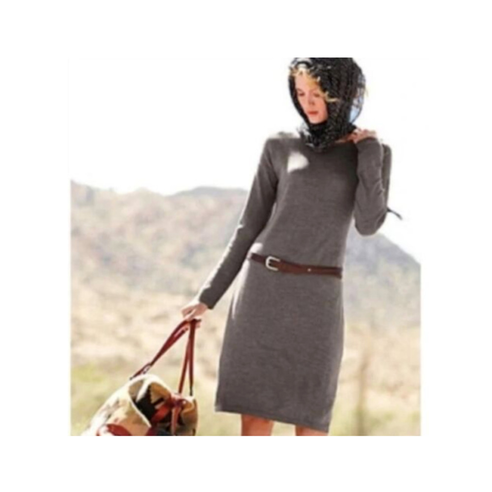 Garnet Hill Wool Sweater Dress Turtleneck Long Sleeve‎ Midi Sz XS Gray